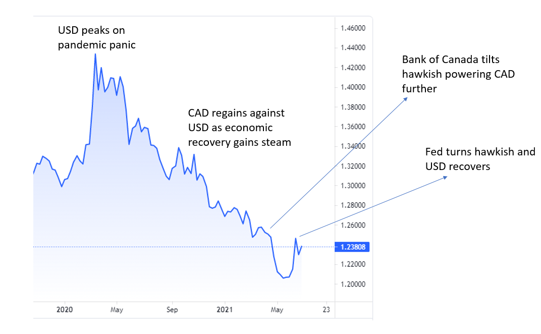 Cad Usd Famemolqy